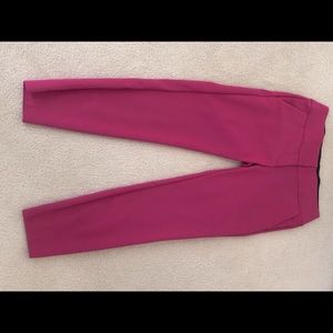 XOXO Magenta Dress Pant